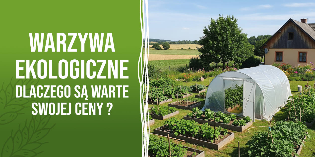 Warzywa ekologiczne – dlaczego są warte swojej ceny?